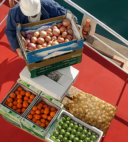 Provision Supply (Fresh Frozen Dry);